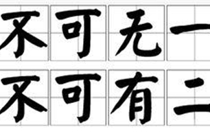 不可无一,不可有二