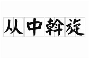 从中斡旋