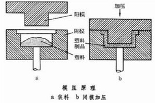 模压