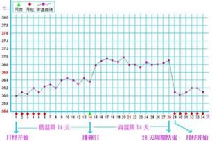 基础体温