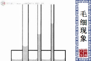 毛细现象