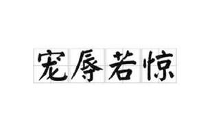 宠辱若惊的意思、造句、反义词