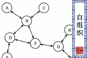 自组织