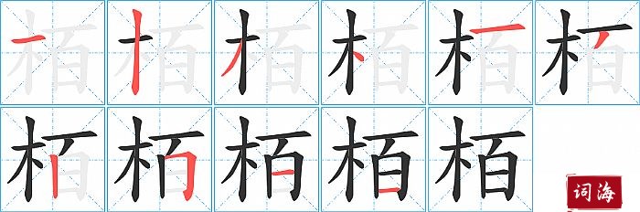 栢字怎么写图解