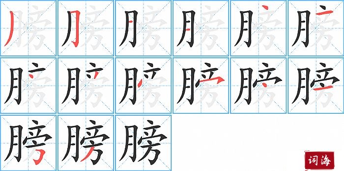 膀字怎么写图解