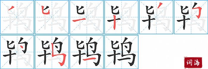 鸨字怎么写图解