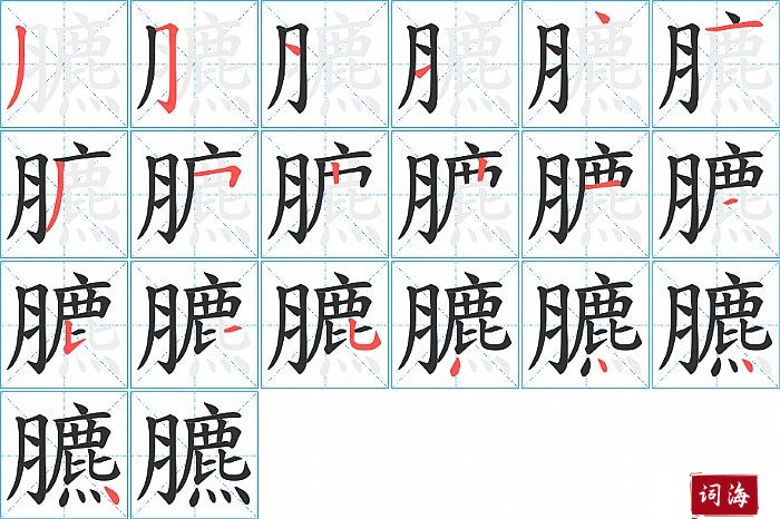 臕字怎么写图解