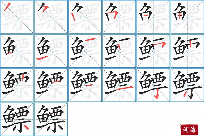 鳔字怎么写图解