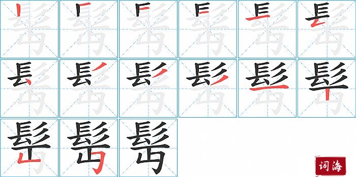 髩字怎么写图解