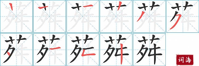 荈字怎么写图解