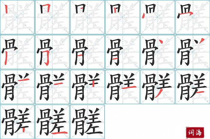 髊字怎么写图解