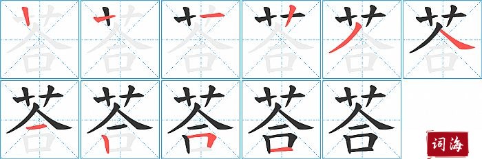 荅字怎么写图解