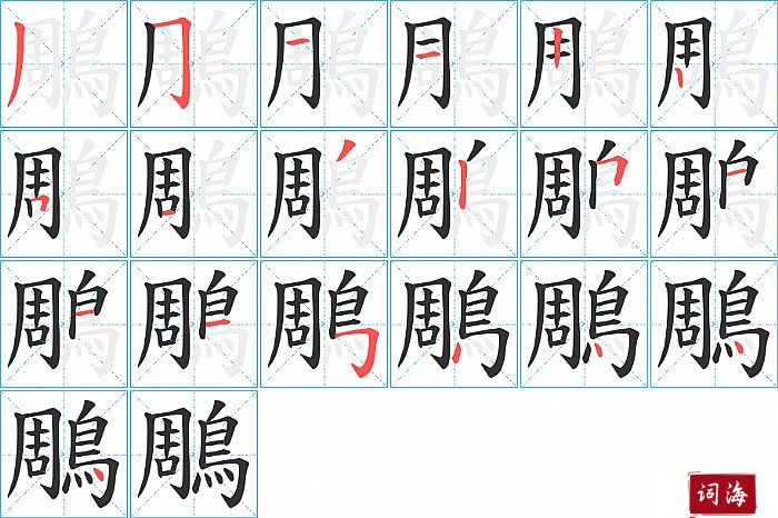 鵰字怎么写图解