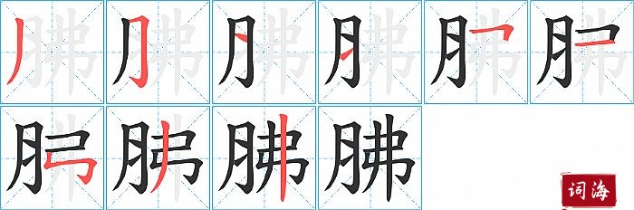 胇字怎么写图解