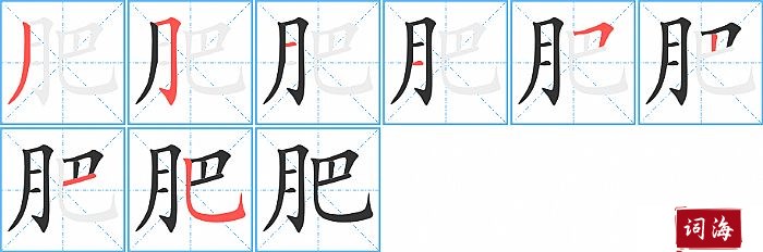 肥字怎么写图解