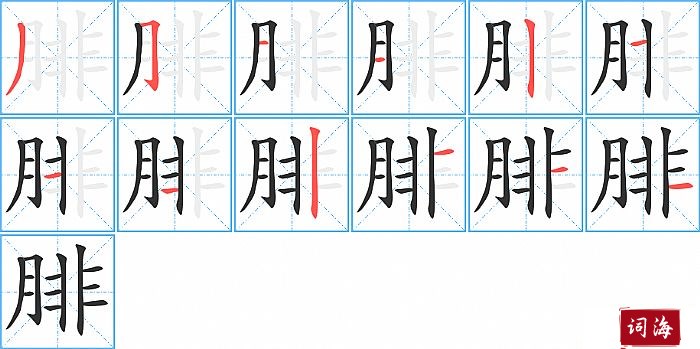 腓字怎么写图解