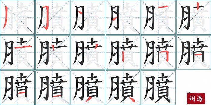 膹字怎么写图解