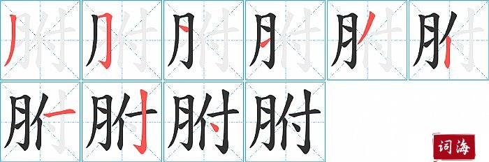 胕字怎么写图解