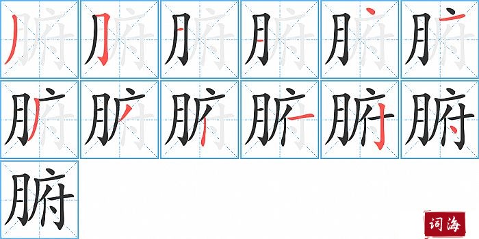 腑字怎么写图解