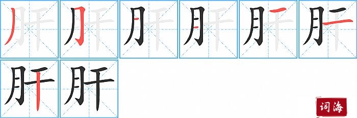 肝字怎么写图解