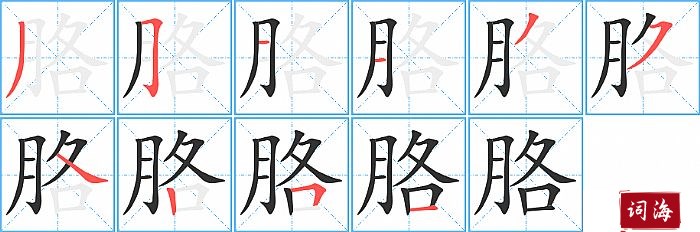 胳字怎么写图解