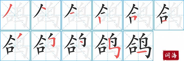 鸽字怎么写图解