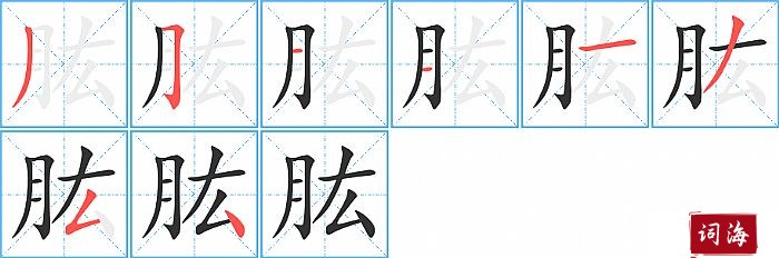 肱字怎么写图解