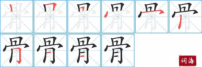 骨字怎么写图解