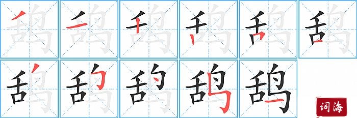 鸹字怎么写图解