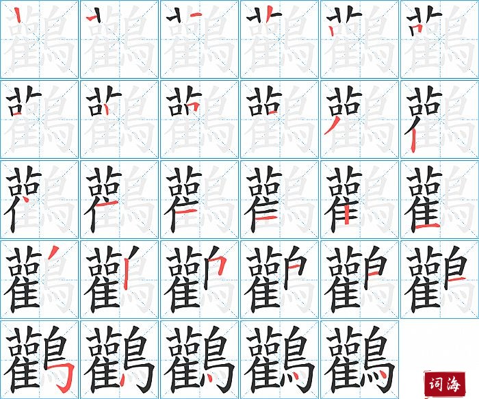 鸛字怎么写图解