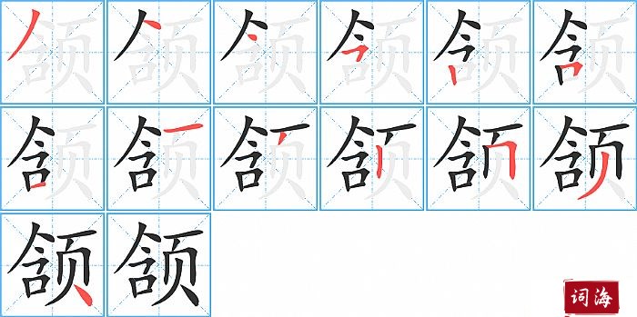 颔字怎么写图解