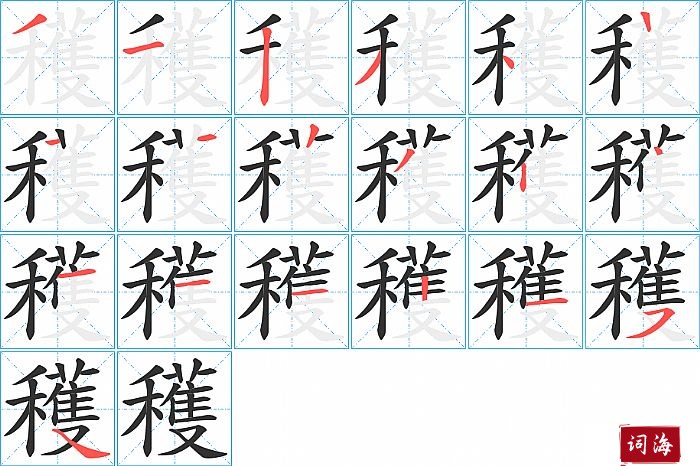 穫字怎么写图解