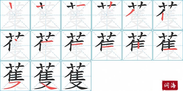 蒦字怎么写图解