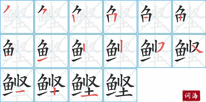 鲣字怎么写图解