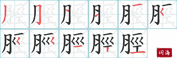 脛字怎么写图解