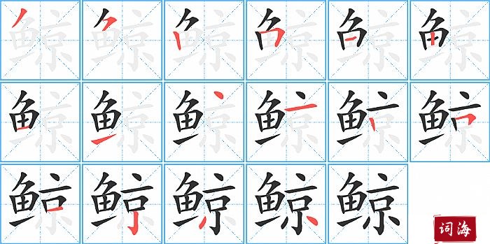 鲸字怎么写图解