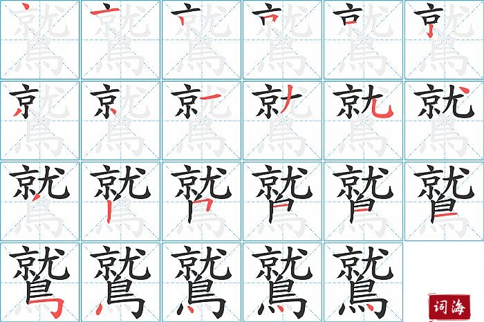 鷲字怎么写图解