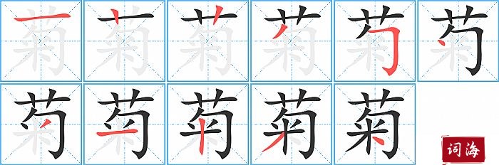 菊字怎么写图解