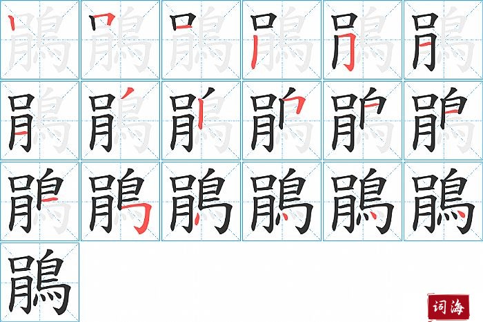 鵑字怎么写图解