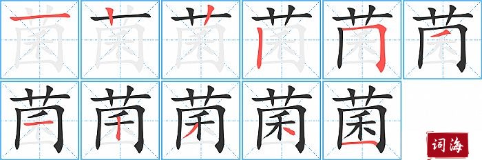 菌字怎么写图解