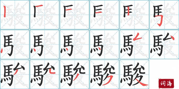 駿字怎么写图解