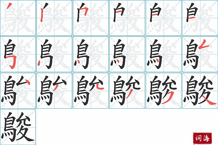 鵔字怎么写图解