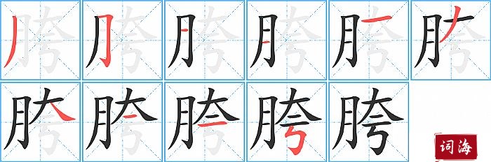 胯字怎么写图解