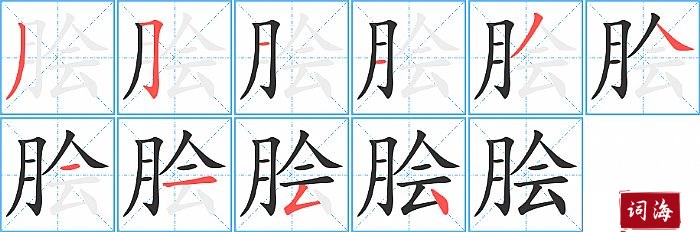 脍字怎么写图解