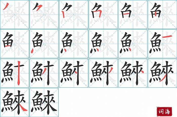 鯠字怎么写图解