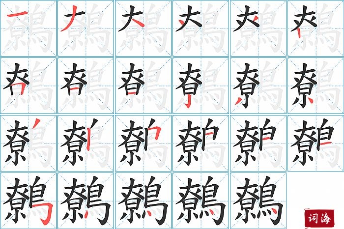 鷯字怎么写图解