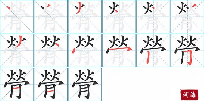 膋字怎么写图解