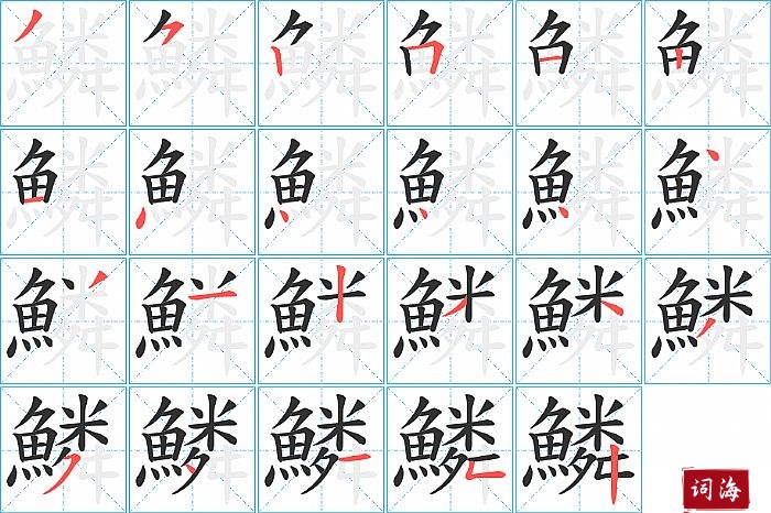 鱗字怎么写图解