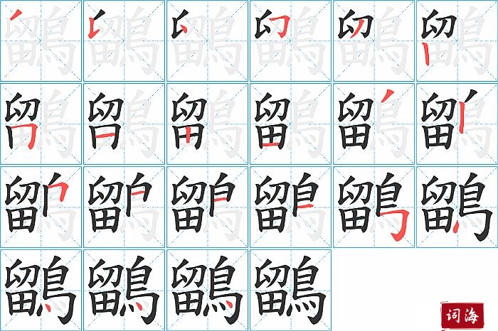 鶹字怎么写图解