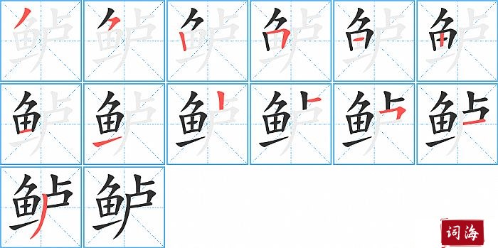 鲈字怎么写图解